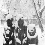 № 3 _ 2026  / Работы воронежских фотохудожников